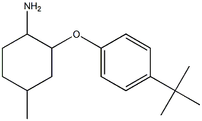 2-(4-tert-butylphenoxy)-4-methylcyclohexan-1-amine Struktur