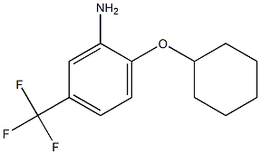 2-(cyclohexyloxy)-5-(trifluoromethyl)aniline Struktur