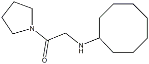 2-(cyclooctylamino)-1-(pyrrolidin-1-yl)ethan-1-one Struktur