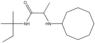 2-(cyclooctylamino)-N-(2-methylbutan-2-yl)propanamide Struktur