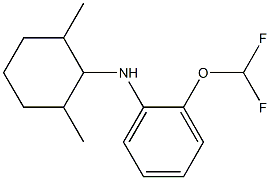 2-(difluoromethoxy)-N-(2,6-dimethylcyclohexyl)aniline Struktur