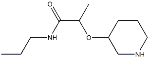 2-(piperidin-3-yloxy)-N-propylpropanamide Struktur