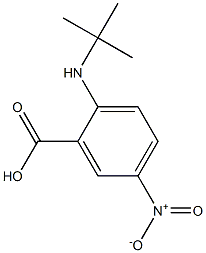 2-(tert-butylamino)-5-nitrobenzoic acid Struktur