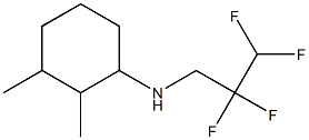 2,3-dimethyl-N-(2,2,3,3-tetrafluoropropyl)cyclohexan-1-amine Struktur