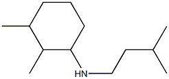 2,3-dimethyl-N-(3-methylbutyl)cyclohexan-1-amine Struktur