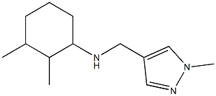 2,3-dimethyl-N-[(1-methyl-1H-pyrazol-4-yl)methyl]cyclohexan-1-amine Struktur