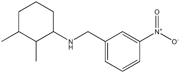 2,3-dimethyl-N-[(3-nitrophenyl)methyl]cyclohexan-1-amine Struktur