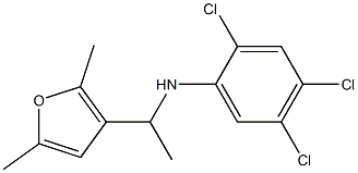 2,4,5-trichloro-N-[1-(2,5-dimethylfuran-3-yl)ethyl]aniline Struktur