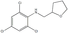 2,4,6-trichloro-N-(oxolan-2-ylmethyl)aniline Struktur