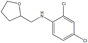 2,4-dichloro-N-(oxolan-2-ylmethyl)aniline Struktur