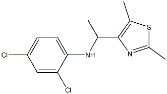 2,4-dichloro-N-[1-(2,5-dimethyl-1,3-thiazol-4-yl)ethyl]aniline Struktur