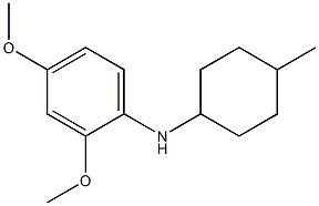 2,4-dimethoxy-N-(4-methylcyclohexyl)aniline Struktur