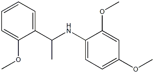 2,4-dimethoxy-N-[1-(2-methoxyphenyl)ethyl]aniline Struktur