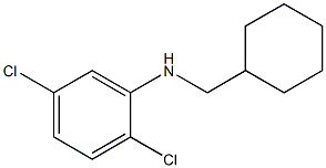 2,5-dichloro-N-(cyclohexylmethyl)aniline Struktur