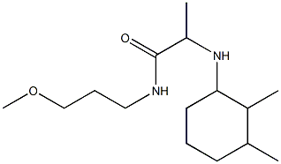 2-[(2,3-dimethylcyclohexyl)amino]-N-(3-methoxypropyl)propanamide Struktur