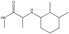 2-[(2,3-dimethylcyclohexyl)amino]-N-methylpropanamide Struktur