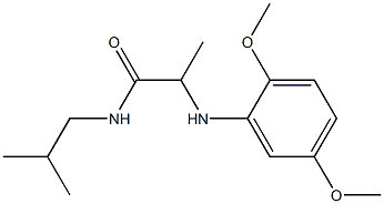 2-[(2,5-dimethoxyphenyl)amino]-N-(2-methylpropyl)propanamide Struktur