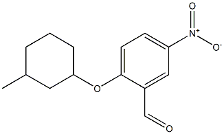 2-[(3-methylcyclohexyl)oxy]-5-nitrobenzaldehyde Struktur