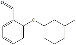 2-[(3-methylcyclohexyl)oxy]benzaldehyde Struktur