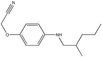 2-{4-[(2-methylpentyl)amino]phenoxy}acetonitrile Struktur