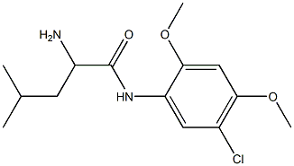 2-amino-N-(5-chloro-2,4-dimethoxyphenyl)-4-methylpentanamide Struktur