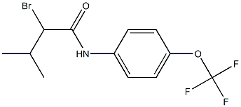 2-bromo-3-methyl-N-[4-(trifluoromethoxy)phenyl]butanamide Struktur