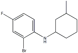 2-bromo-4-fluoro-N-(3-methylcyclohexyl)aniline Struktur