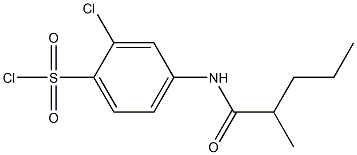 2-chloro-4-(2-methylpentanamido)benzene-1-sulfonyl chloride Struktur