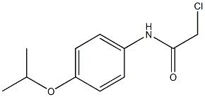 2-chloro-N-[4-(propan-2-yloxy)phenyl]acetamide Struktur