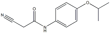 2-cyano-N-[4-(propan-2-yloxy)phenyl]acetamide Struktur