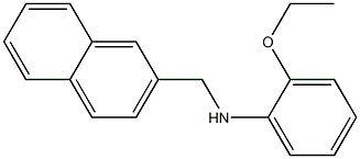 2-ethoxy-N-(naphthalen-2-ylmethyl)aniline Struktur