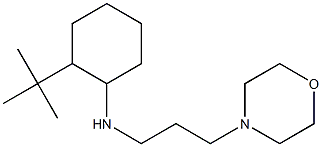 2-tert-butyl-N-[3-(morpholin-4-yl)propyl]cyclohexan-1-amine Struktur