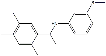 3-(methylsulfanyl)-N-[1-(2,4,5-trimethylphenyl)ethyl]aniline Struktur