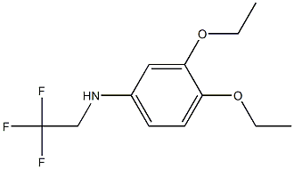 3,4-diethoxy-N-(2,2,2-trifluoroethyl)aniline Struktur