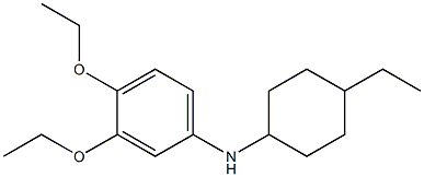 3,4-diethoxy-N-(4-ethylcyclohexyl)aniline Struktur