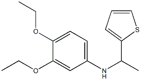 3,4-diethoxy-N-[1-(thiophen-2-yl)ethyl]aniline Struktur