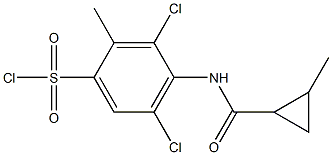 3,5-dichloro-2-methyl-4-[(2-methylcyclopropane)amido]benzene-1-sulfonyl chloride Struktur