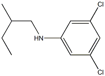 3,5-dichloro-N-(2-methylbutyl)aniline Struktur