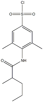 3,5-dimethyl-4-(2-methylpentanamido)benzene-1-sulfonyl chloride Struktur