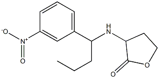 3-{[1-(3-nitrophenyl)butyl]amino}oxolan-2-one Struktur