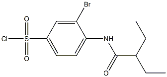 3-bromo-4-(2-ethylbutanamido)benzene-1-sulfonyl chloride Struktur