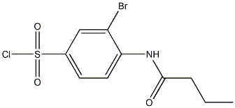 3-bromo-4-butanamidobenzene-1-sulfonyl chloride Struktur