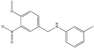 3-iodo-N-[(4-methoxy-3-nitrophenyl)methyl]aniline Struktur