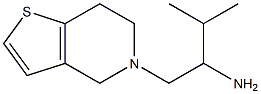 3-methyl-1-{4H,5H,6H,7H-thieno[3,2-c]pyridin-5-yl}butan-2-amine Struktur