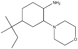 4-(1,1-dimethylpropyl)-2-morpholin-4-ylcyclohexanamine Struktur