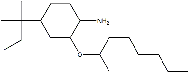 4-(2-methylbutan-2-yl)-2-(octan-2-yloxy)cyclohexan-1-amine Struktur