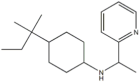 4-(2-methylbutan-2-yl)-N-[1-(pyridin-2-yl)ethyl]cyclohexan-1-amine Struktur