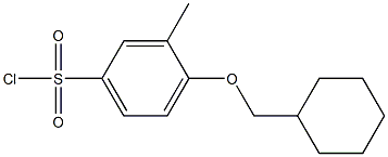 4-(cyclohexylmethoxy)-3-methylbenzenesulfonyl chloride Struktur