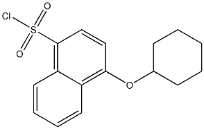 4-(cyclohexyloxy)naphthalene-1-sulfonyl chloride Struktur