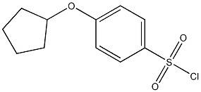 4-(cyclopentyloxy)benzene-1-sulfonyl chloride Struktur